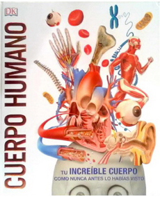 Carátula de Cuerpo humano