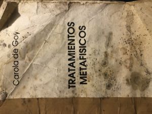 Carátula de Tratamientos metafísicos