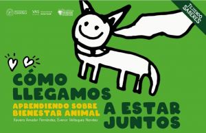 Carátula de Cómo llegamos a estar juntos